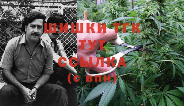 jwh Горнозаводск